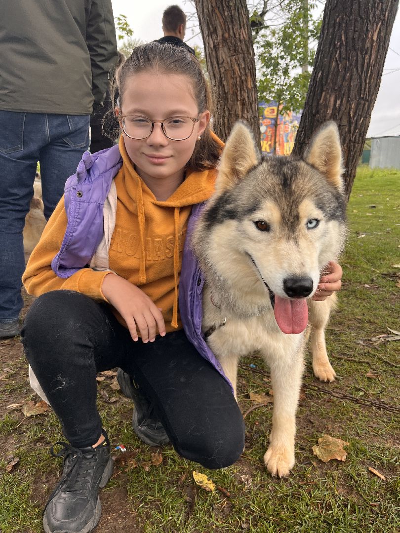День города, Руза, рузский городской округ, подмосковье, культура, праздник, концерт