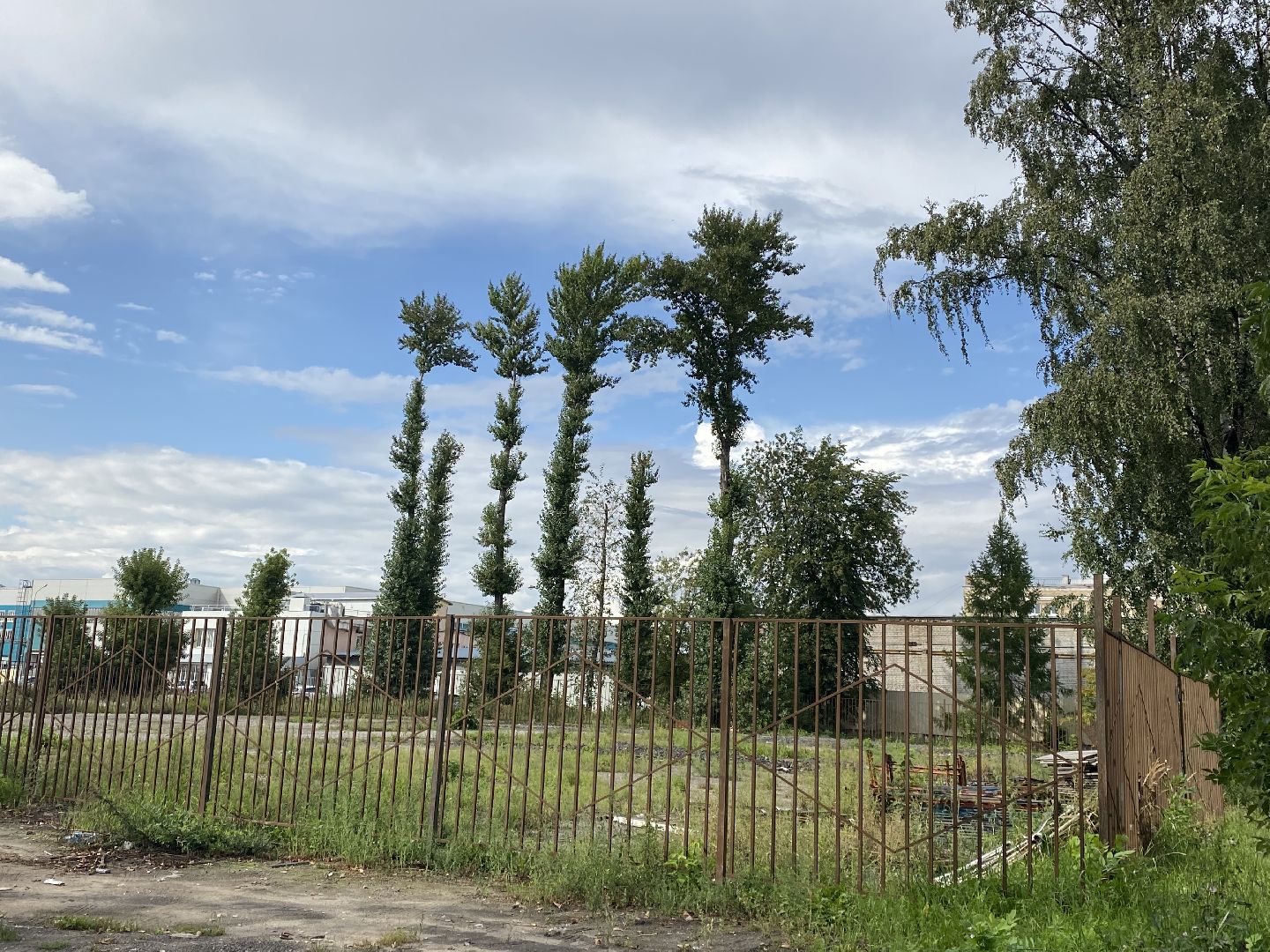 Балашиха, ТЦ Светофор. Столовая 11, Балашихинский трест столовых