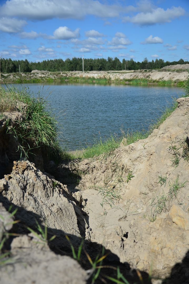 #Долгуша#рыбхоз#БольшаяШатура#развитие