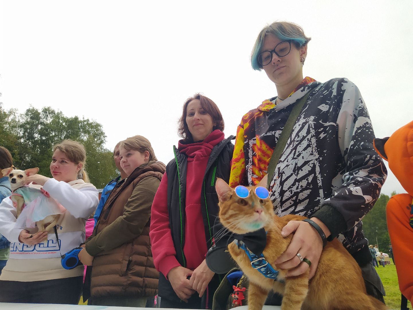 нахабино, животные, выставка, день города,