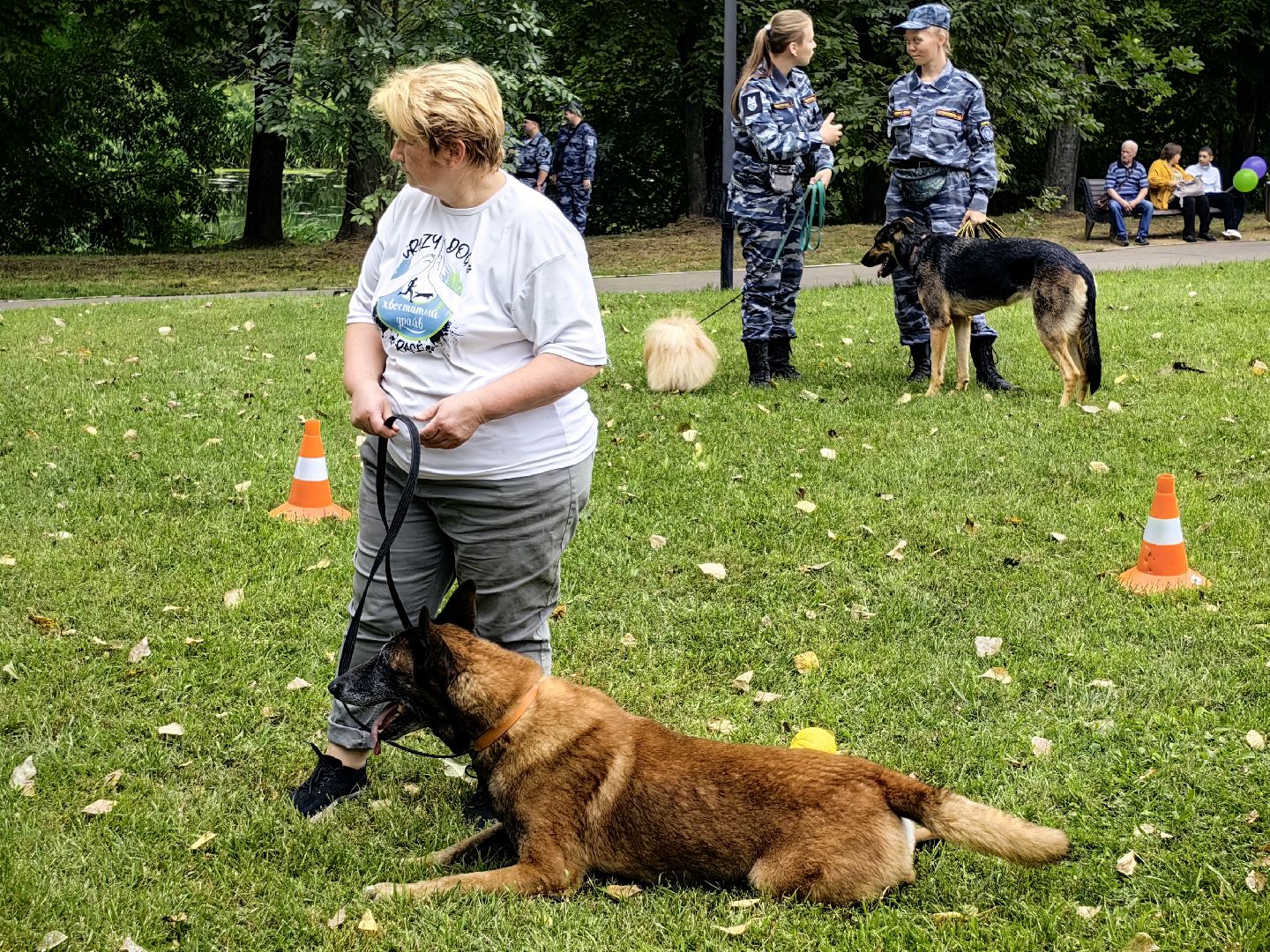 Праздник, парк, день города