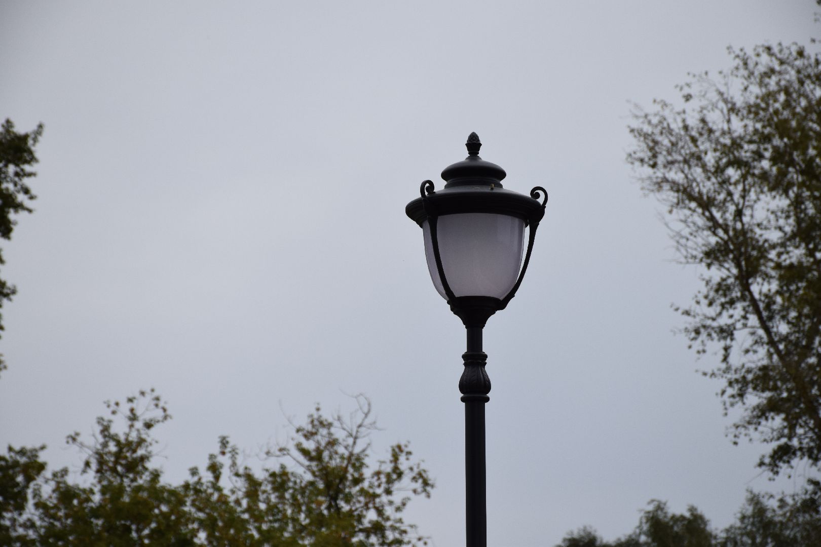 Павловский Посад, городской округ Павловский Посад, люди, город, праздник, сквер, реконструкция