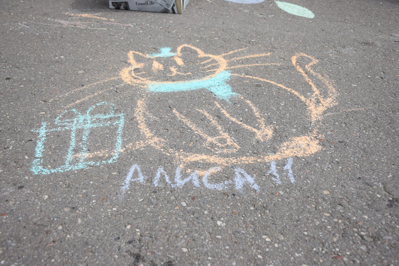 Павловский Посад, городской округ Павловский Посад, люди, парк, лето, дети, рисунки