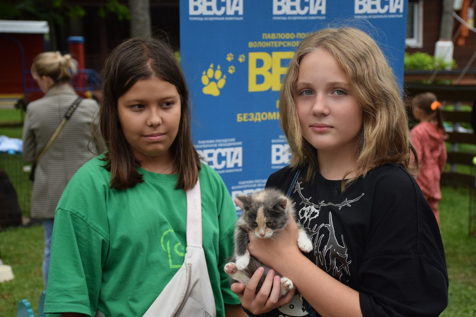 Павловский Посад, городской округ Павловский Посад, люди, город, парк, животные, приют