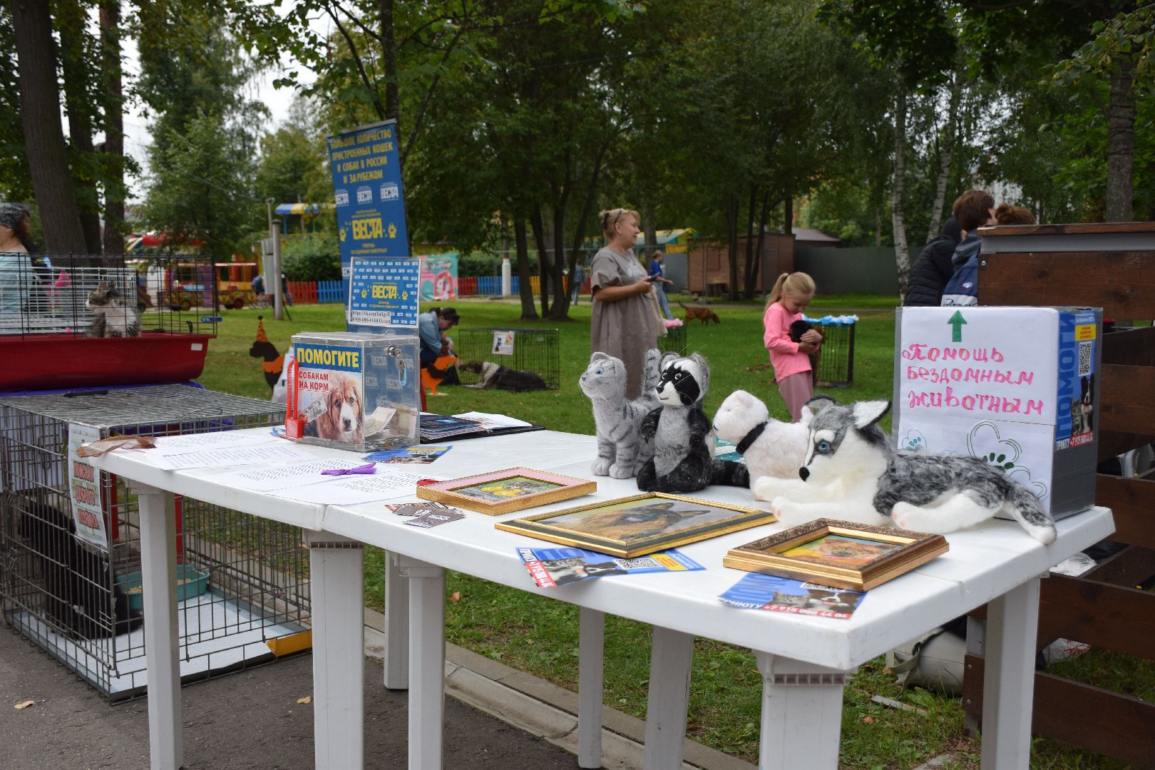 Павловский Посад, городской округ Павловский Посад, люди, город, парк, животные, приют