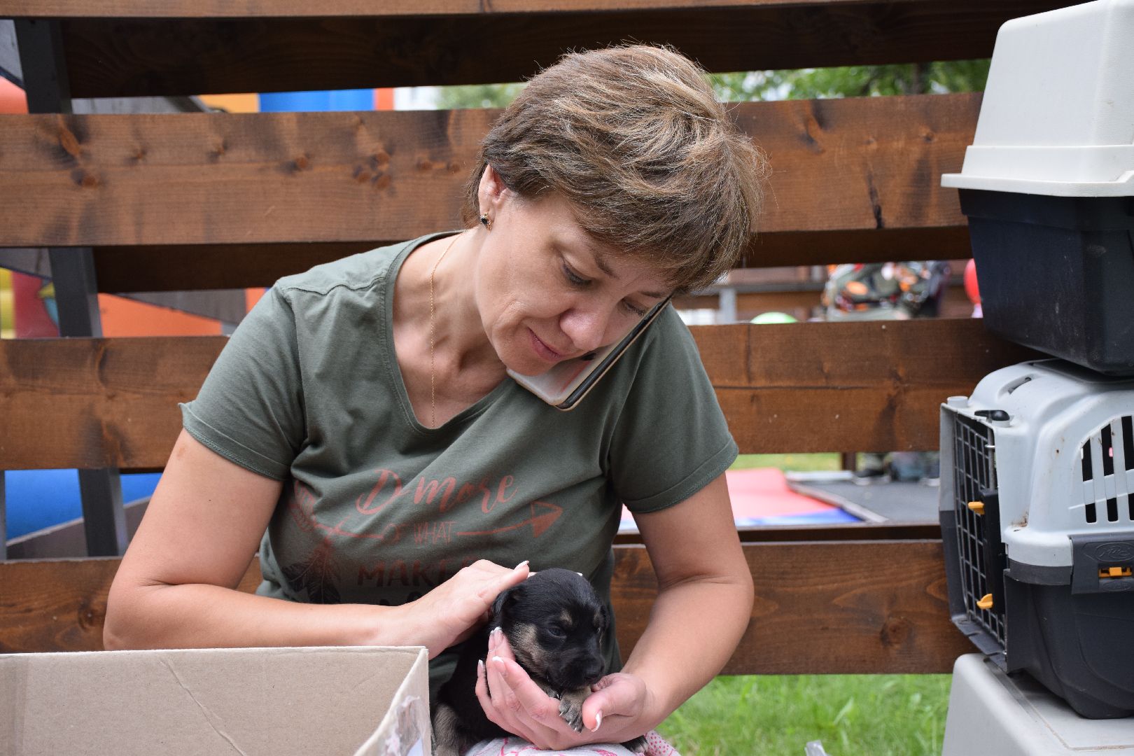 Павловский Посад, городской округ Павловский Посад, люди, город, парк, животные, приют