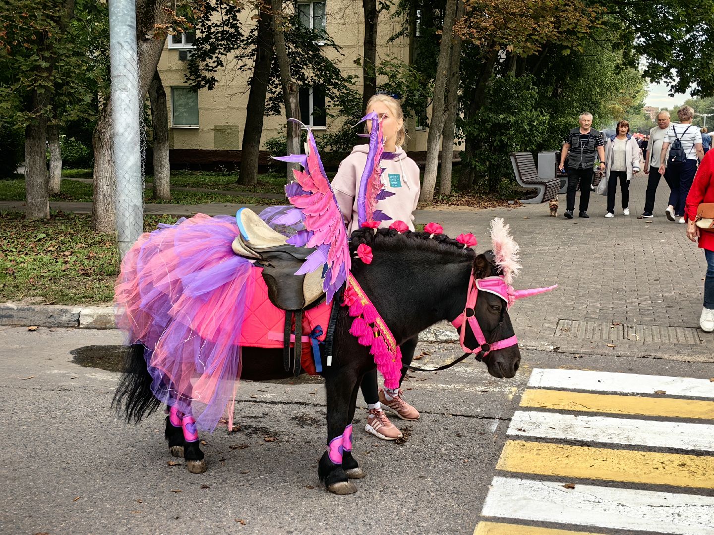 Мастер-класс, пони, цирк, развлечения, День города