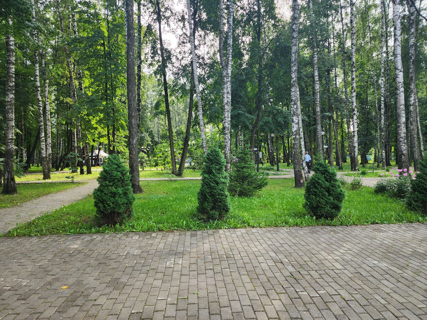 день города, пушкино, дети, артисты,