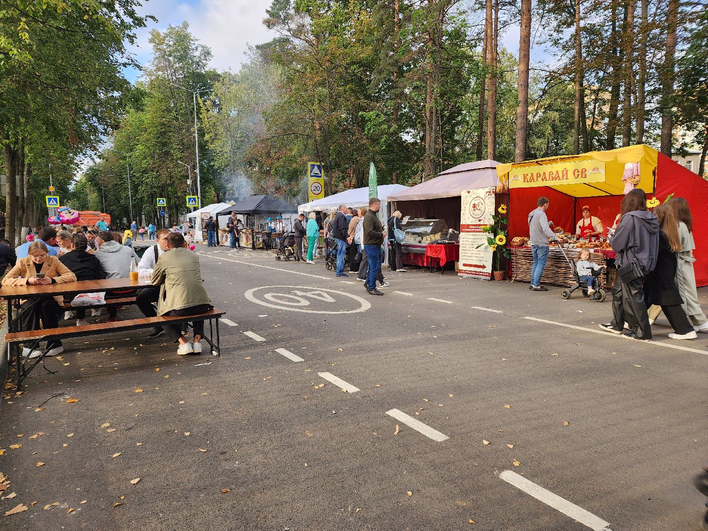 день города, пушкино, дорога, праздник,