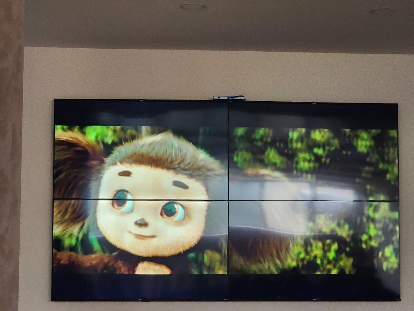 кинопоказ; библиотека; видное; чебурашка; вызов; праведник