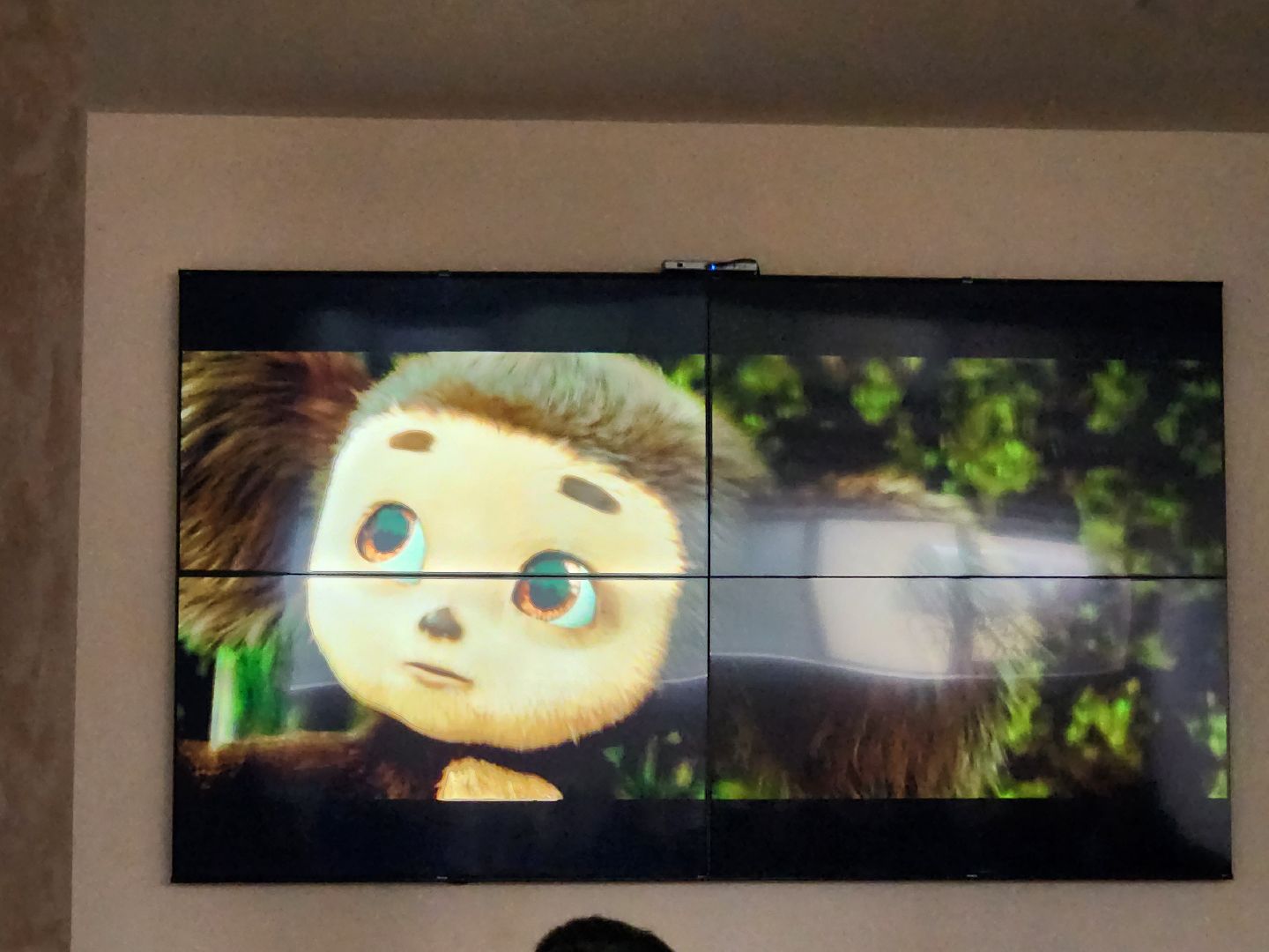 кинопоказ; библиотека; видное; чебурашка; вызов; праведник