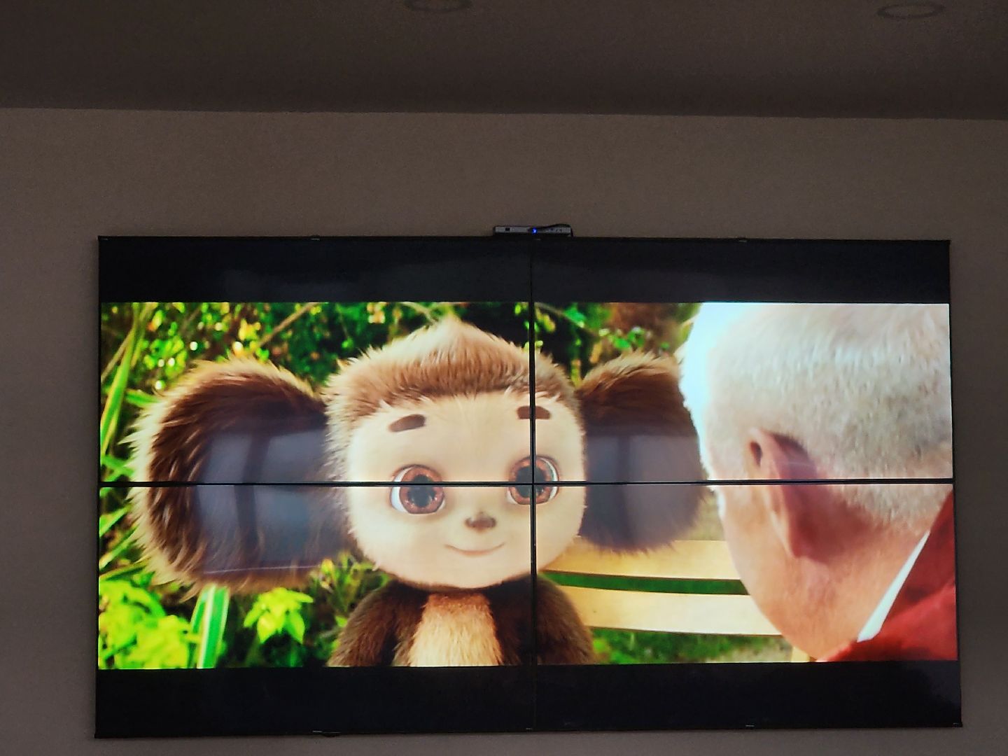 кинопоказ; библиотека; видное; чебурашка; вызов; праведник