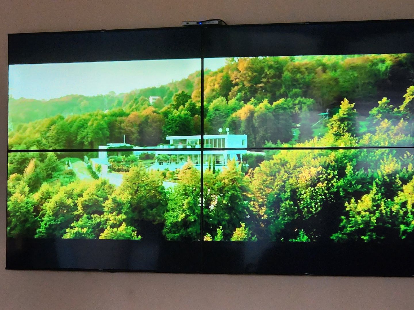 кинопоказ; библиотека; видное; чебурашка; вызов; праведник