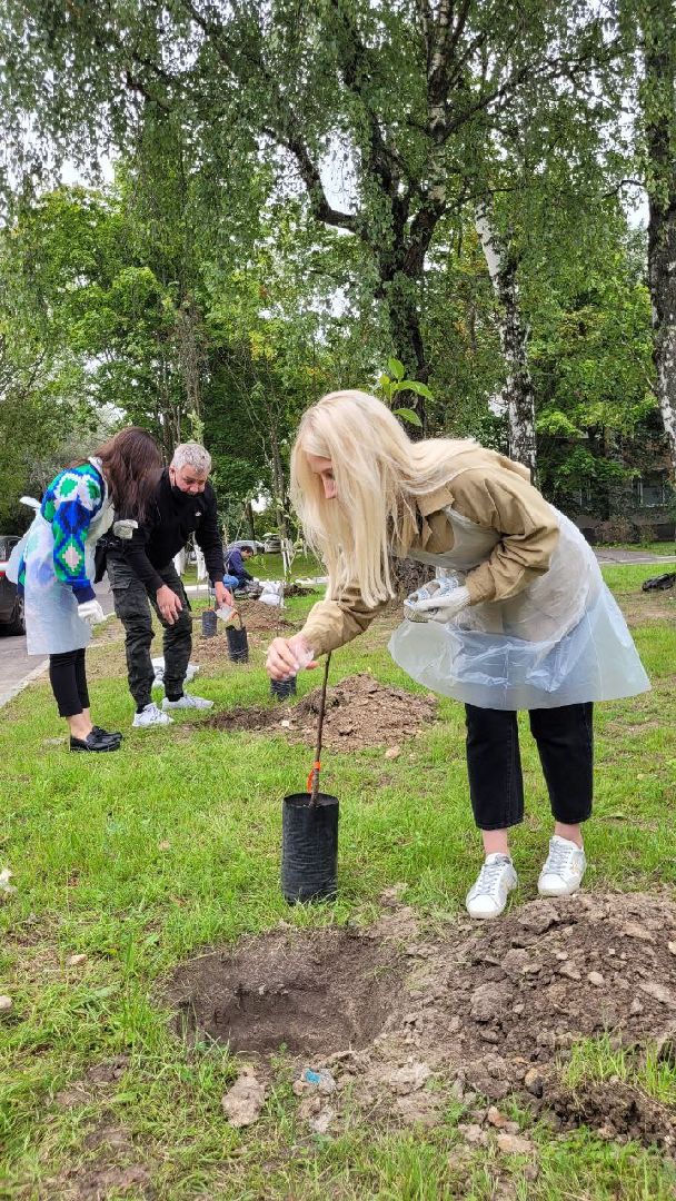 посадка; вишнёвый сад; ВПЦ; видное; подарок