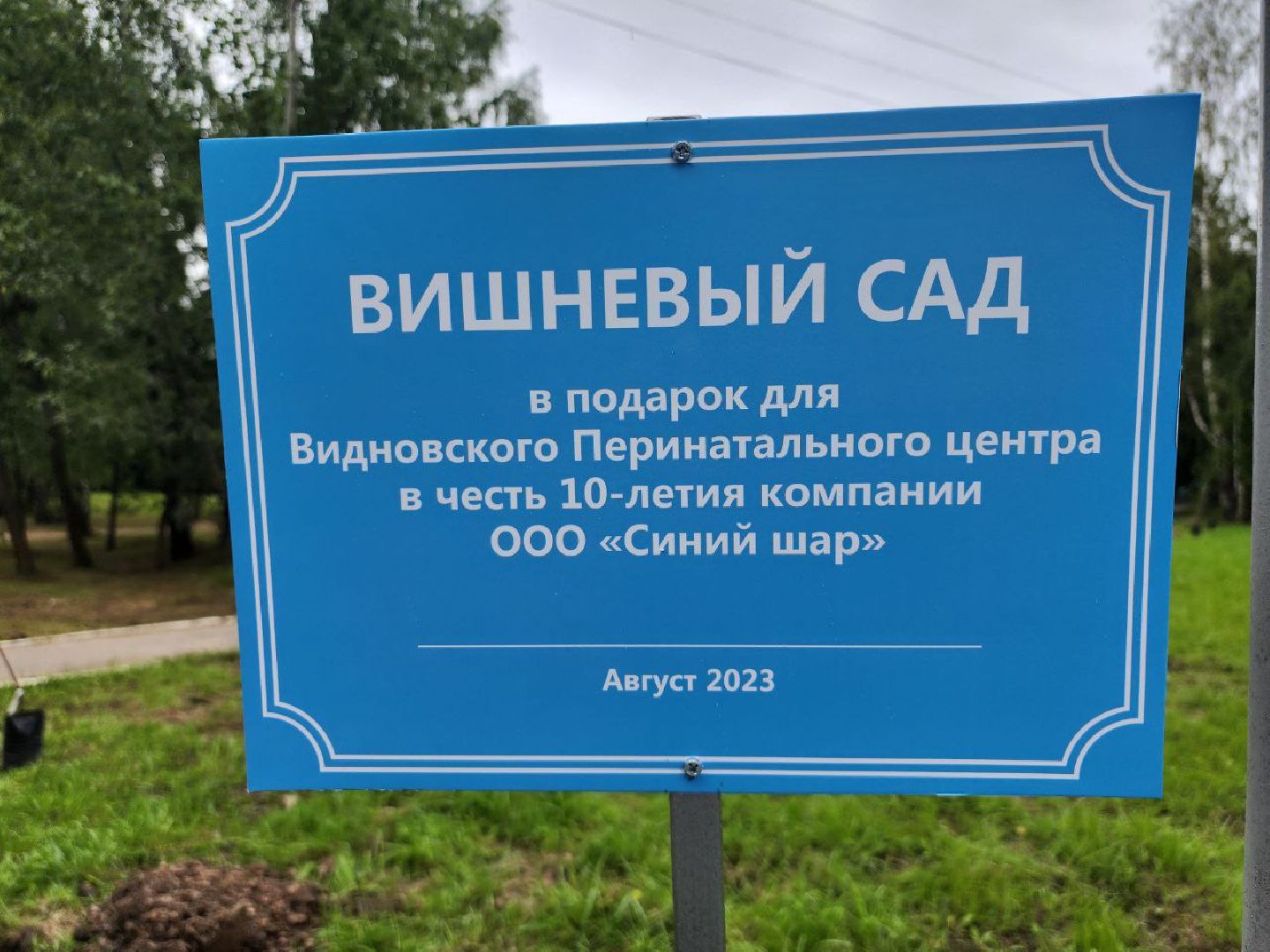 посадка; вишнёвый сад; ВПЦ; видное; подарок