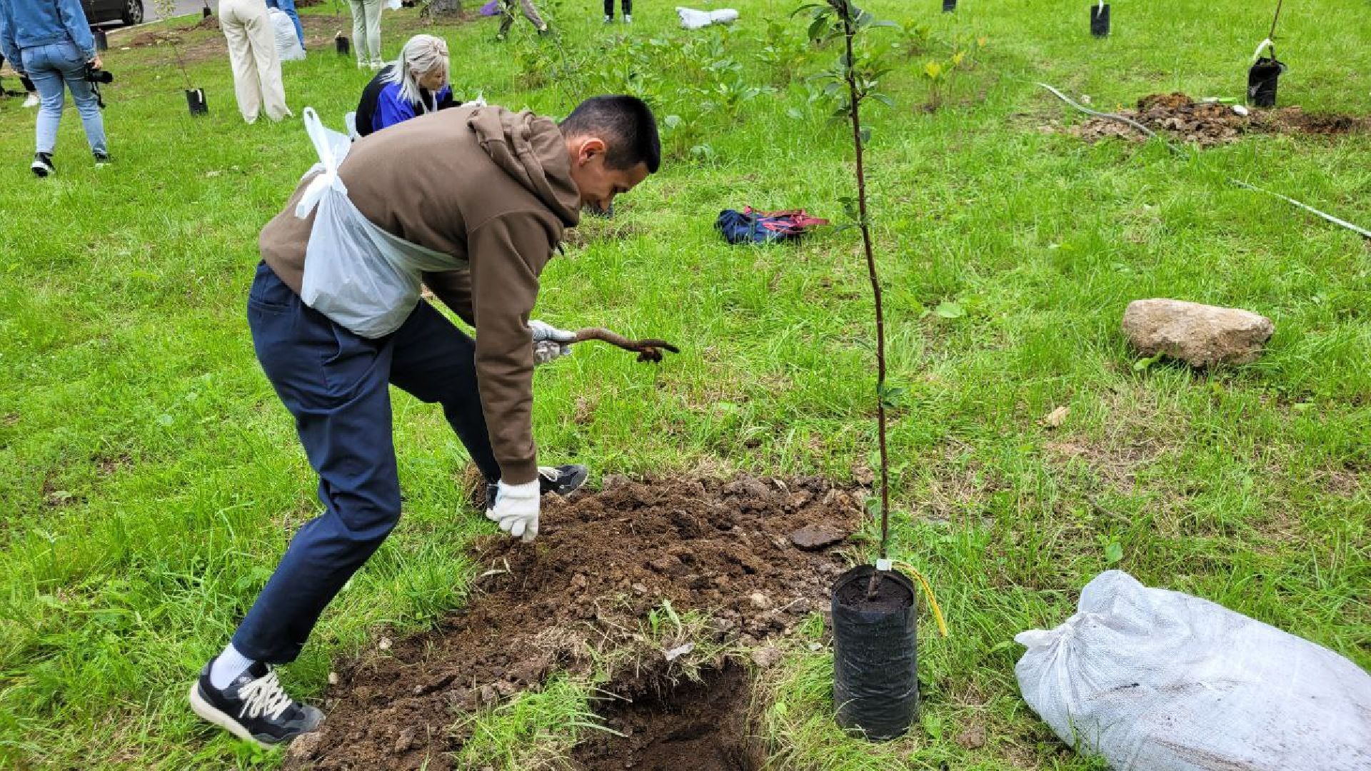 посадка; вишнёвый сад; ВПЦ; видное; подарок