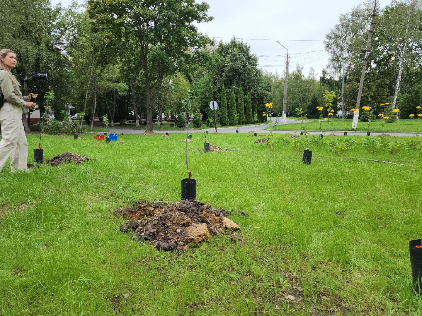 посадка; вишнёвый сад; ВПЦ; видное; подарок