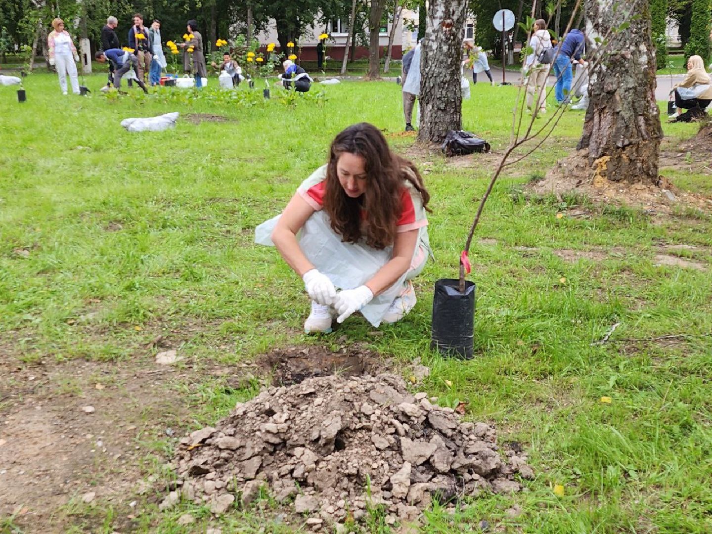 посадка; вишнёвый сад; ВПЦ; видное; подарок
