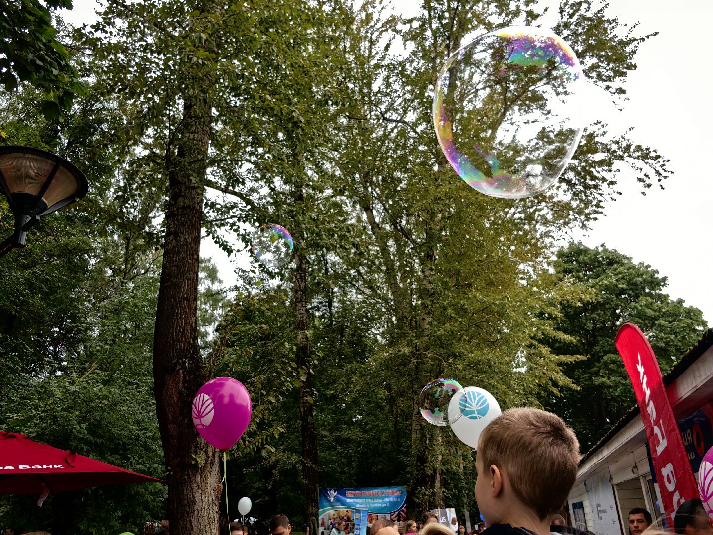 Мыльный пузырь, парк, дети, шоу