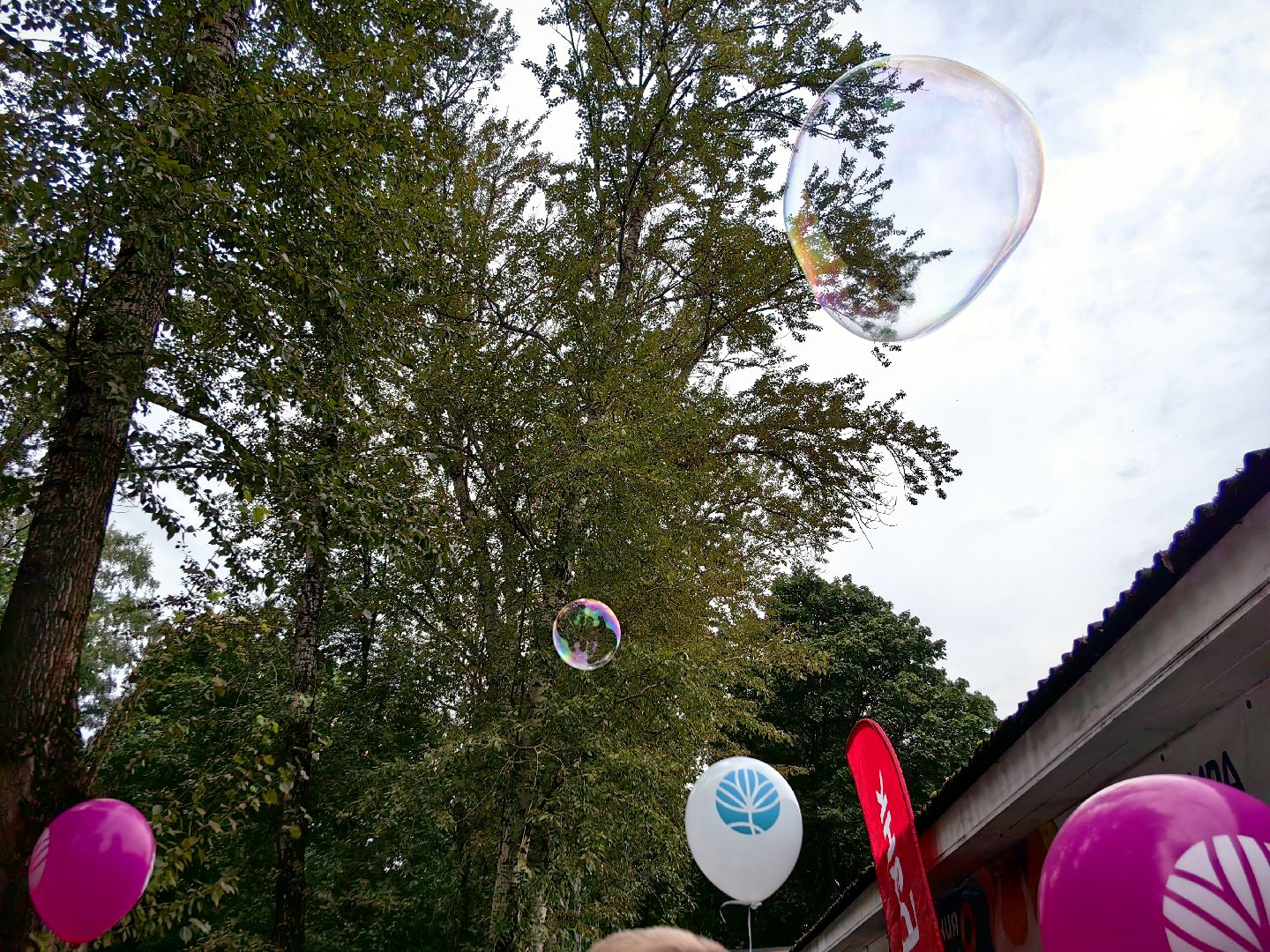 Мыльный пузырь, парк, дети, шоу