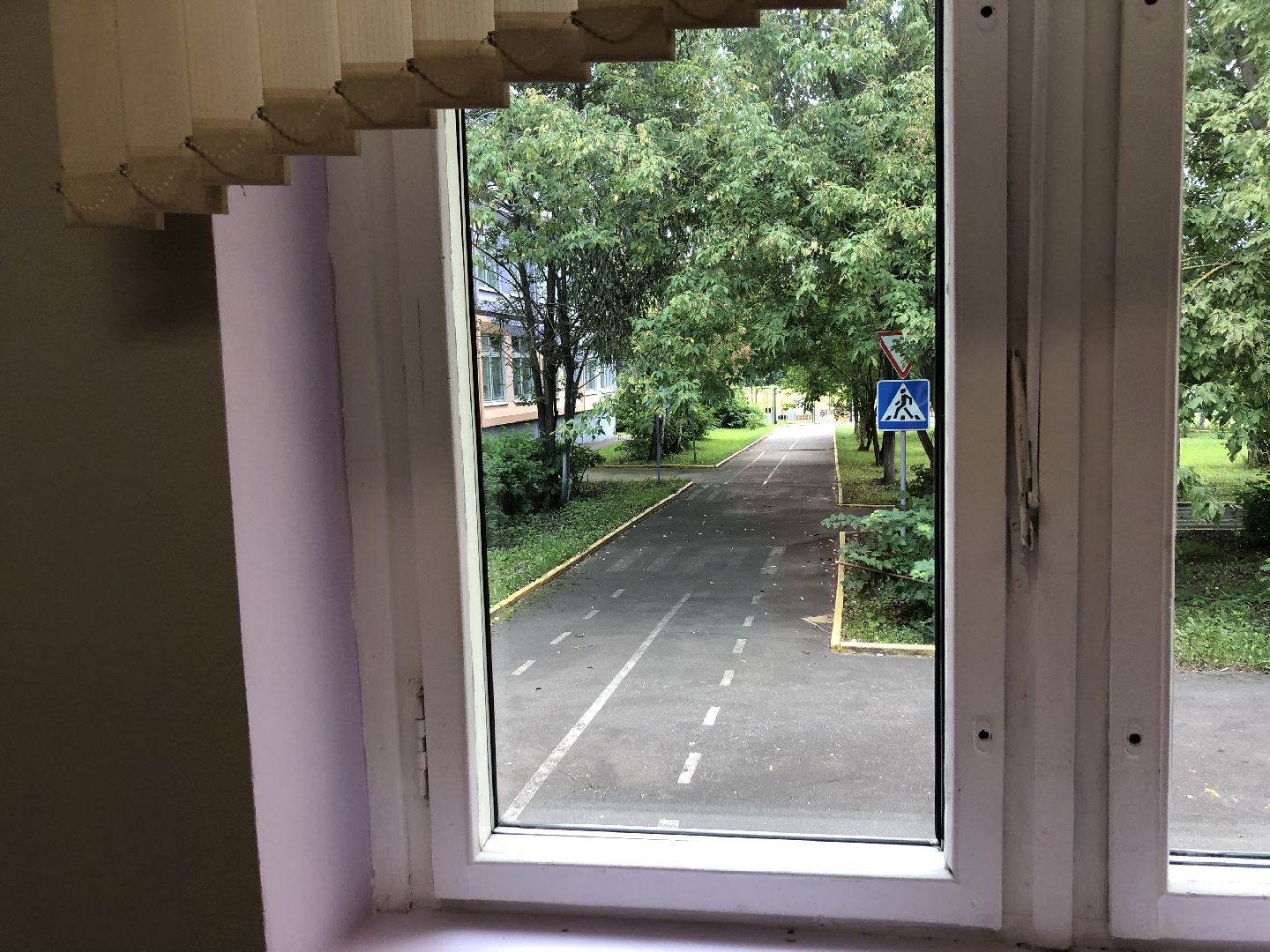 «Лига первых», школы, химки,