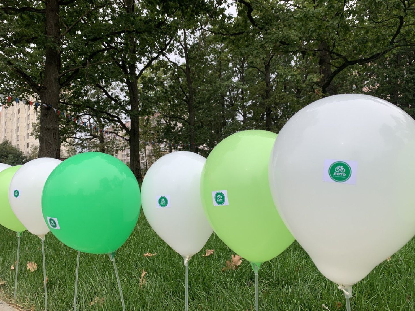 Открытие спортивной площадки, лесопарк Дубки, Калининец