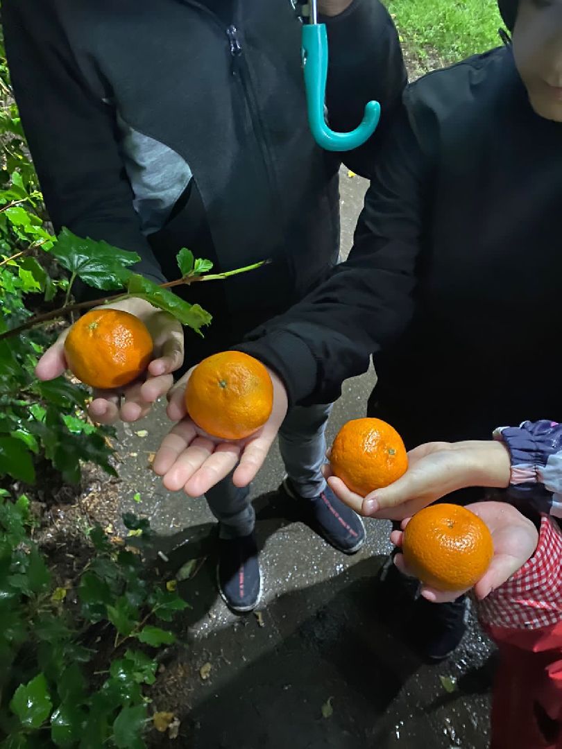 Ночь кино в Подмосковье, кино в парке, фильм Чебурашка, наро-фоминская областная больница,