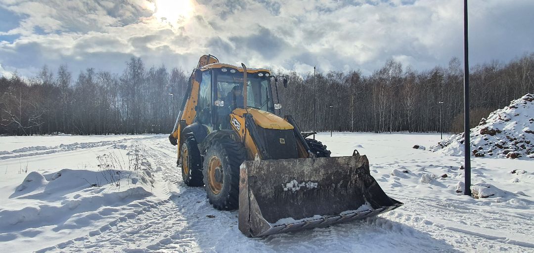 Парки Подмосковья, реконструкция парка, городской лес