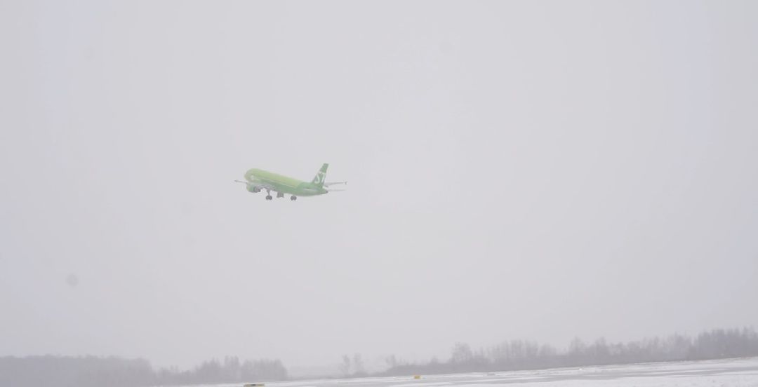 Парки Подмосковья, реконструкция парка, городской лес