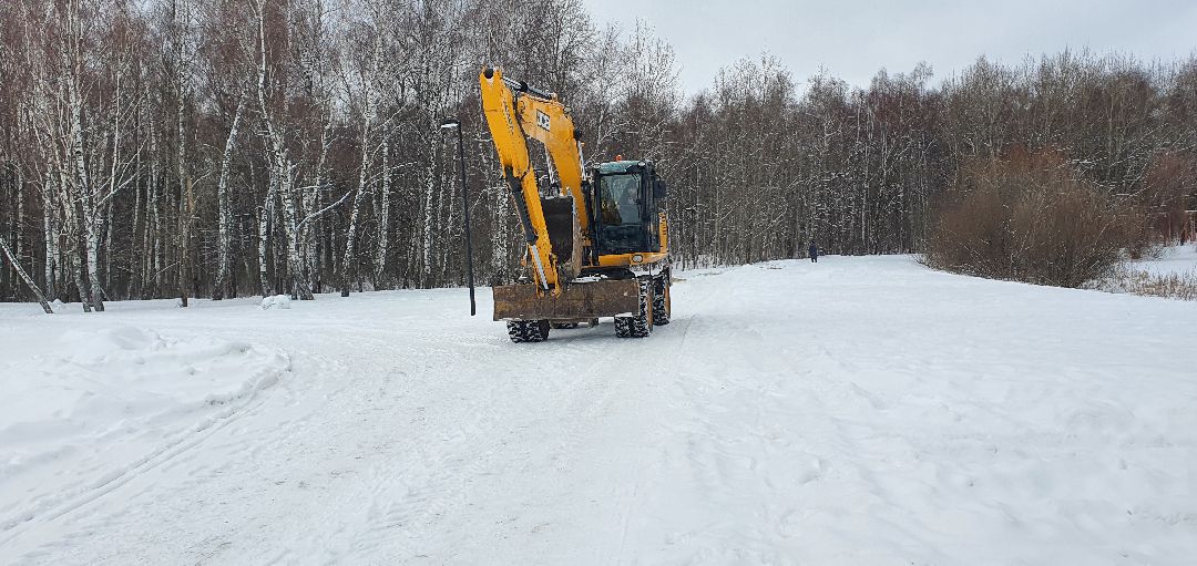 Парки Подмосковья, реконструкция парка, городской лес