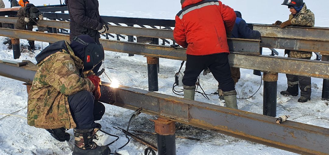 Парки Подмосковья, реконструкция парка, городской лес