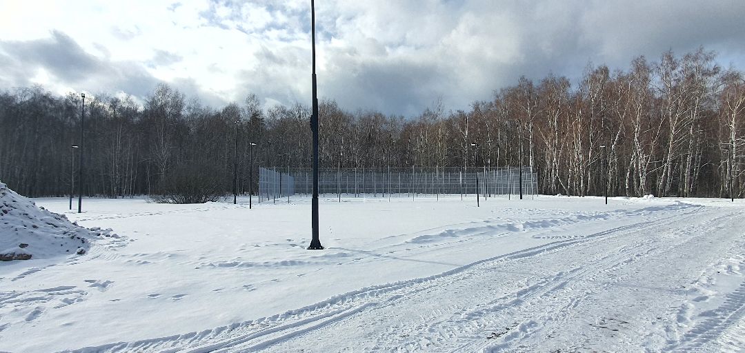 Парки Подмосковья, реконструкция парка, городской лес