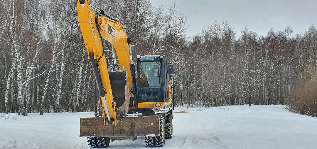 Парки Подмосковья, реконструкция парка, городской лес
