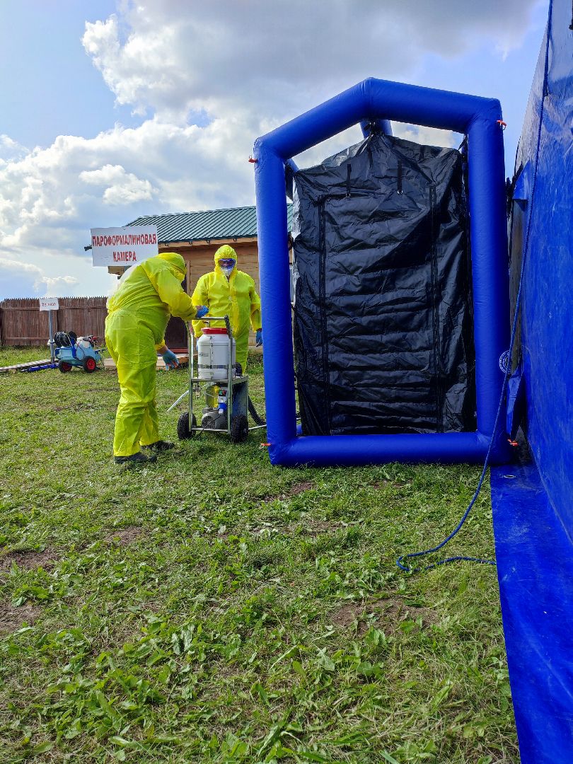 #ачс, #свиньи, #талдомскийокруг, #учения, #ветеринар