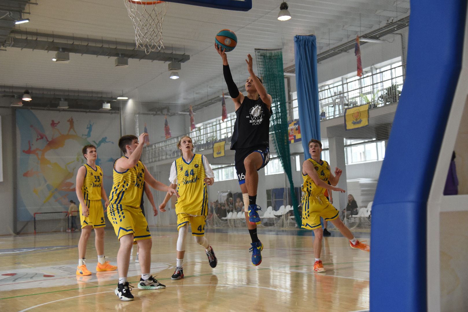 Химки, спорт, баскетбол