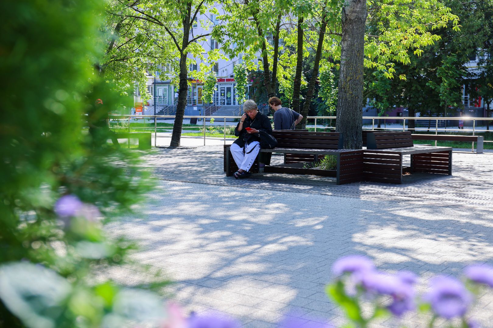 Реутов, МЦД-4, благоустройство, туи