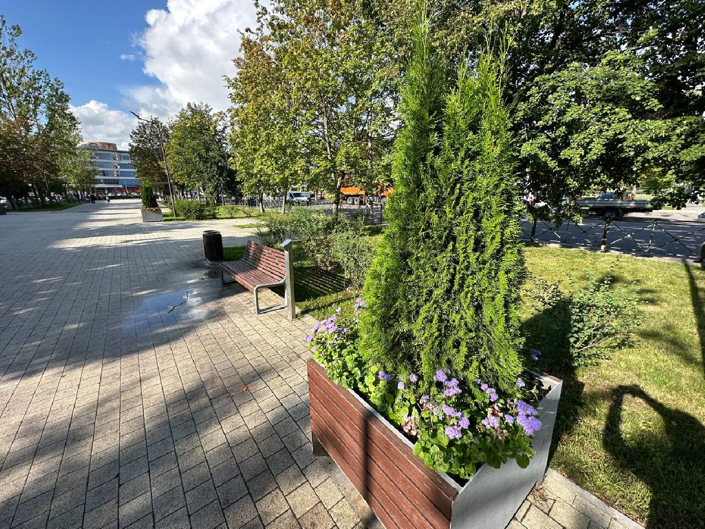 Реутов, МЦД-4, благоустройство, туи