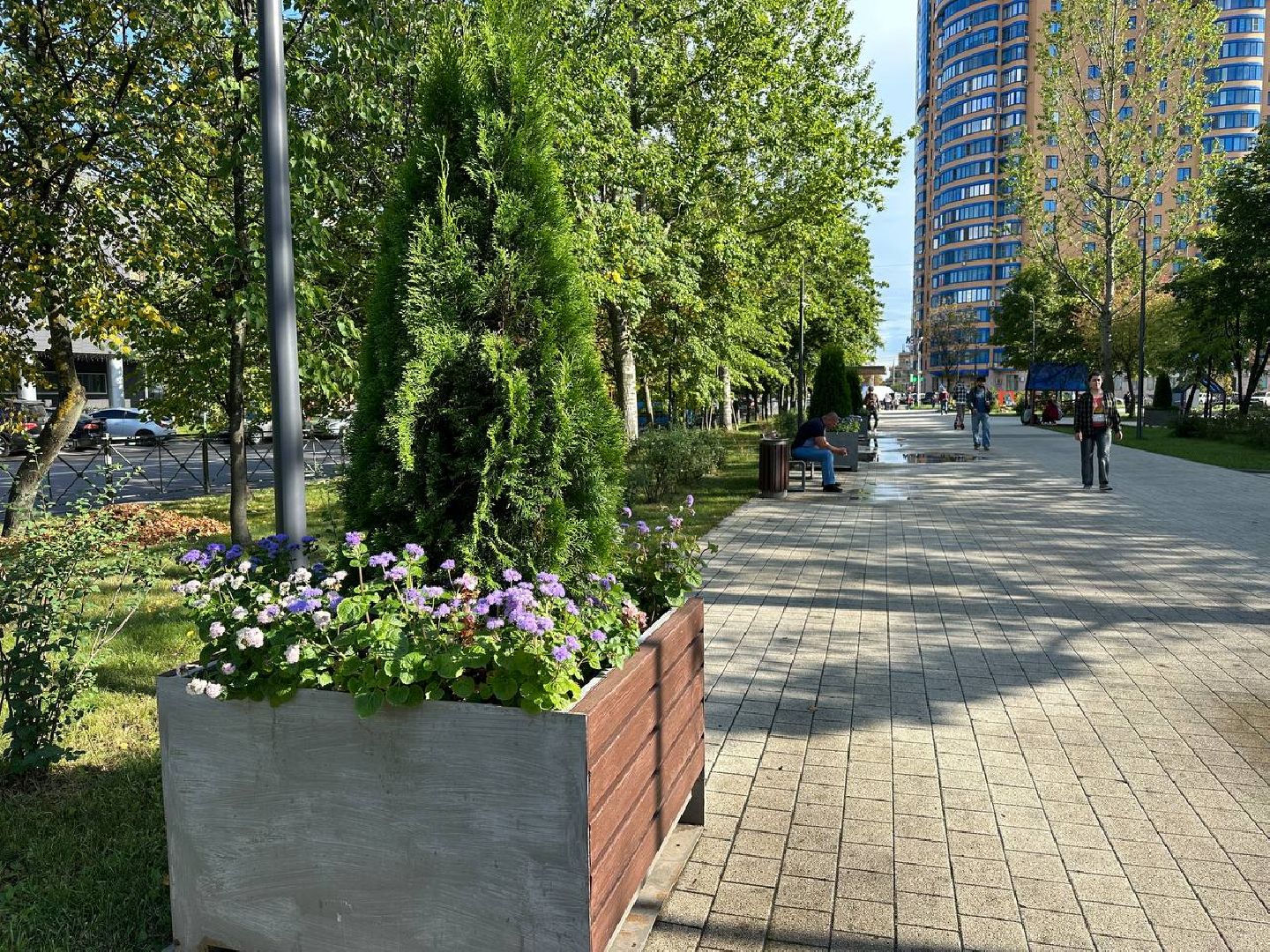 Реутов, МЦД-4, благоустройство, туи