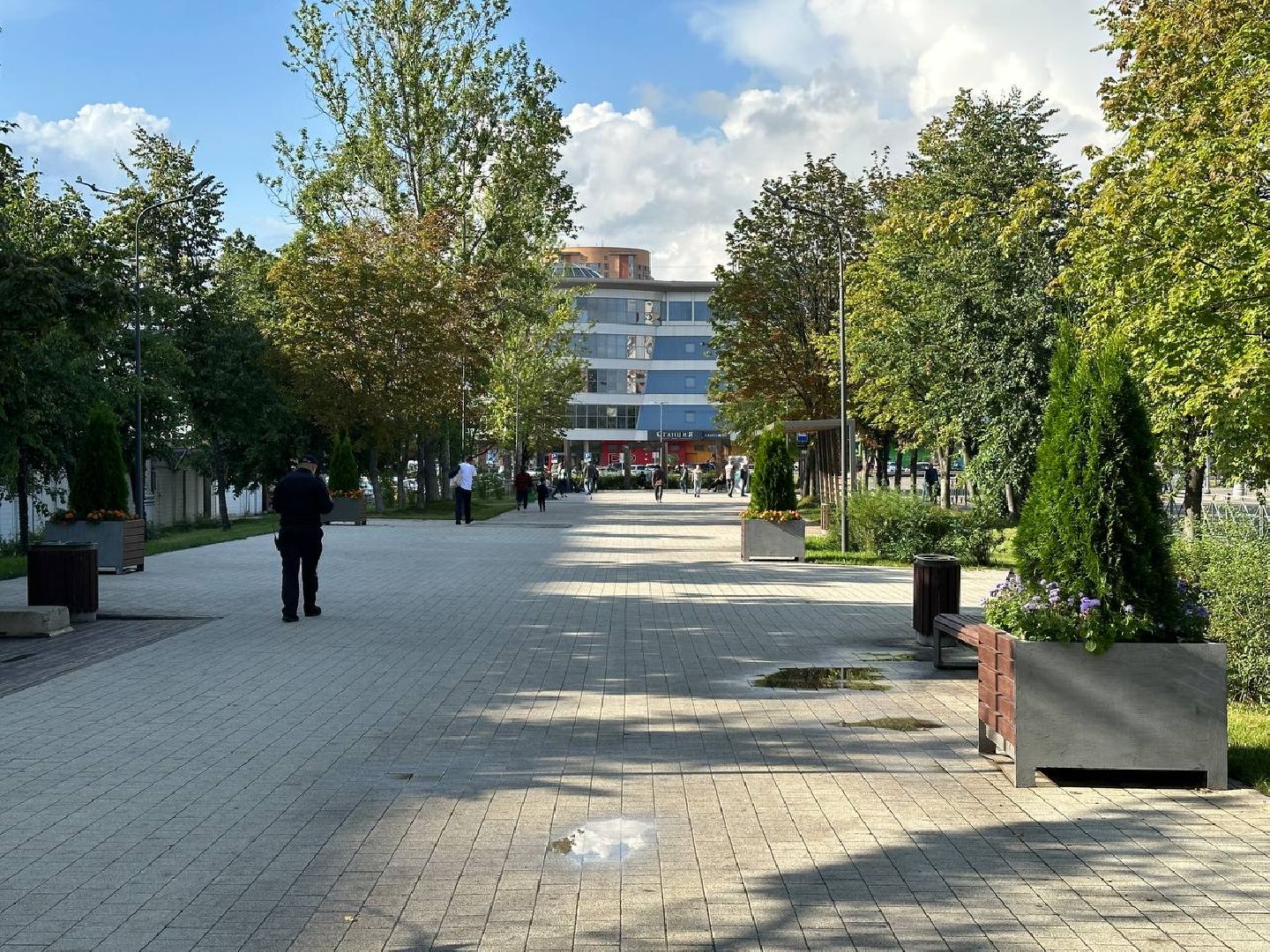 Реутов, МЦД-4, благоустройство, туи