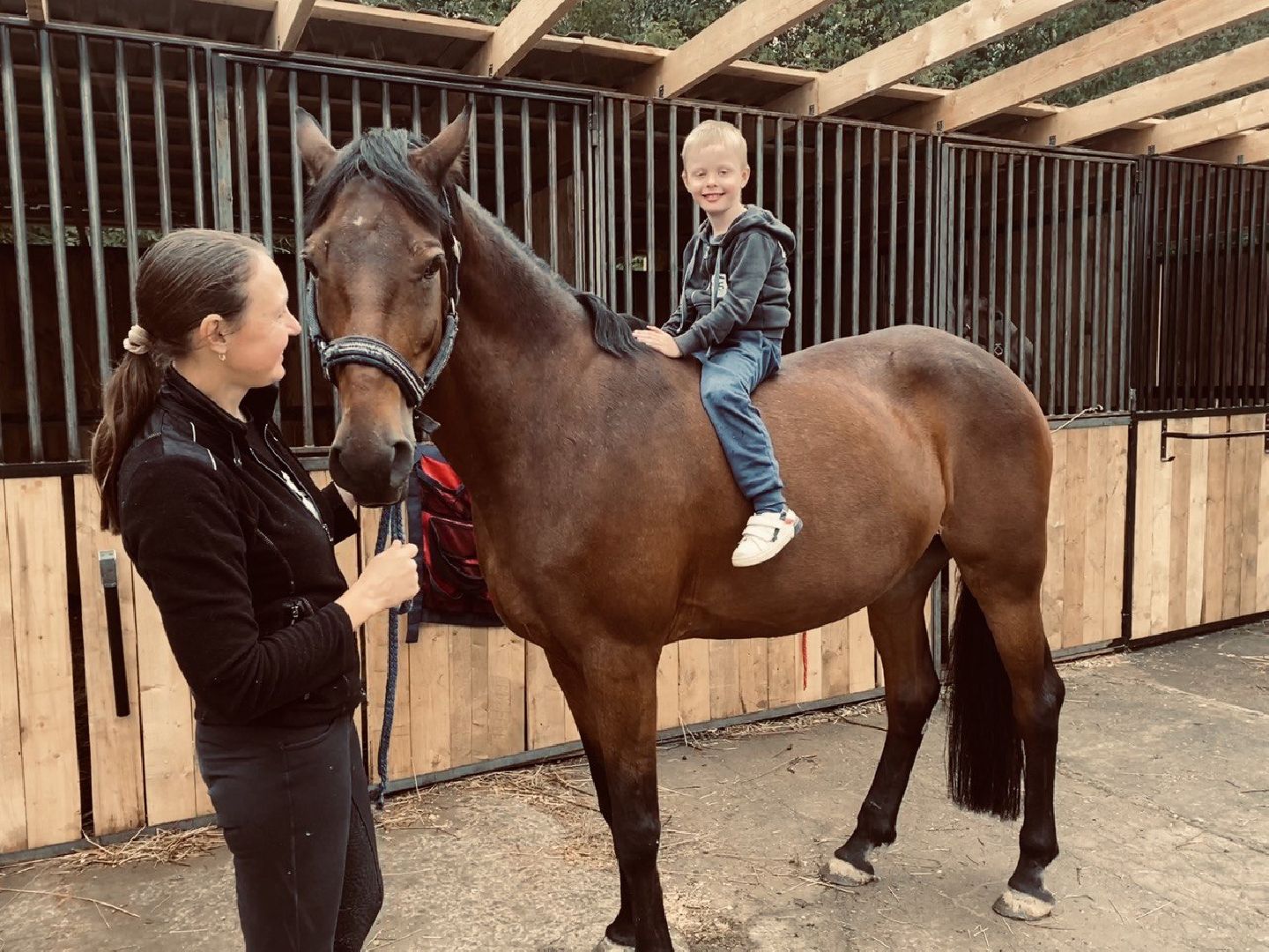 Чехов, берейтор, лошади, тренер, конюшня, завод, конный спорт