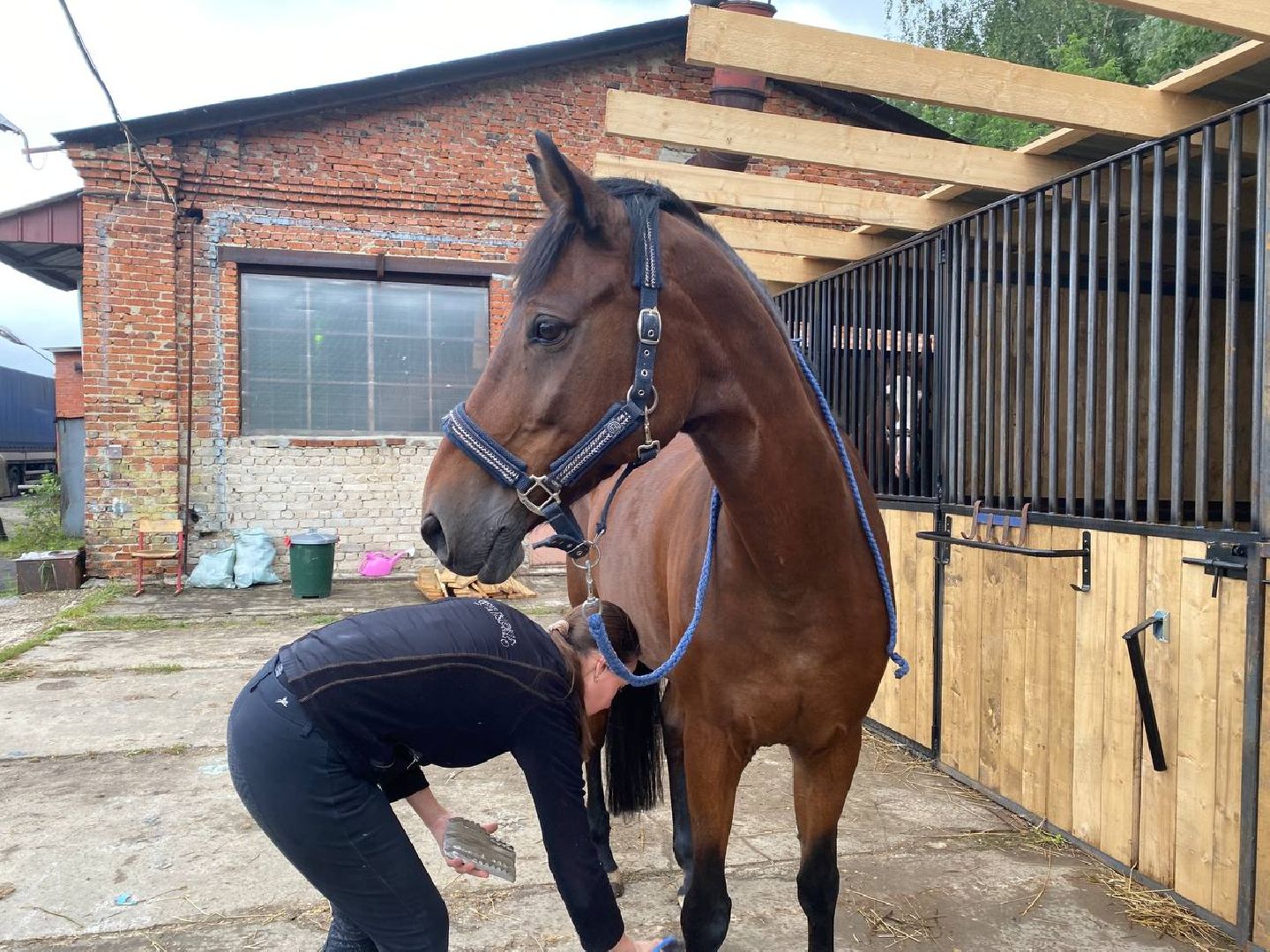 Чехов, берейтор, лошади, тренер, конюшня, завод, конный спорт