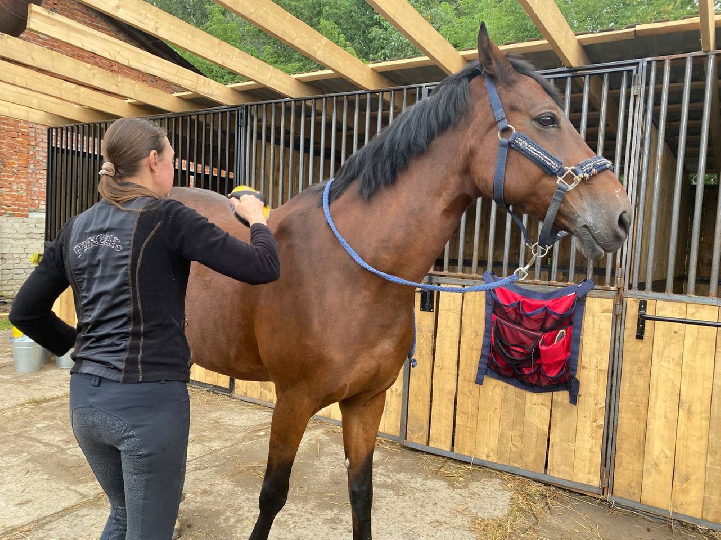 Чехов, берейтор, лошади, тренер, конюшня, завод, конный спорт