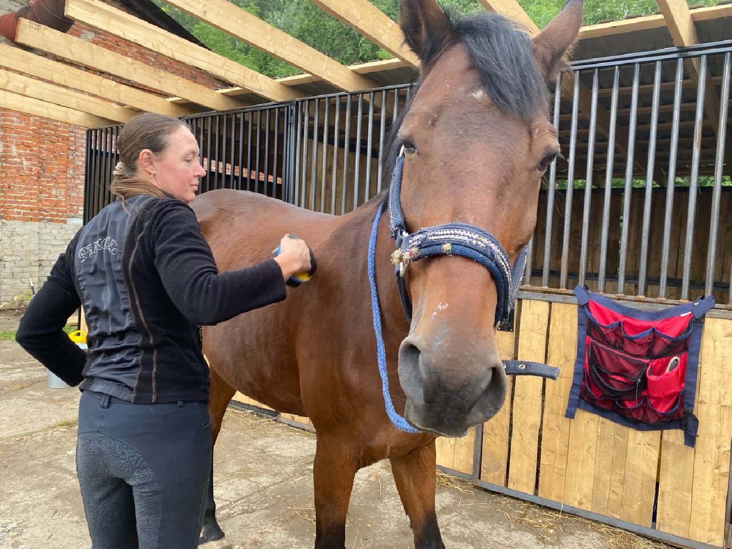 Чехов, берейтор, лошади, тренер, конюшня, завод, конный спорт