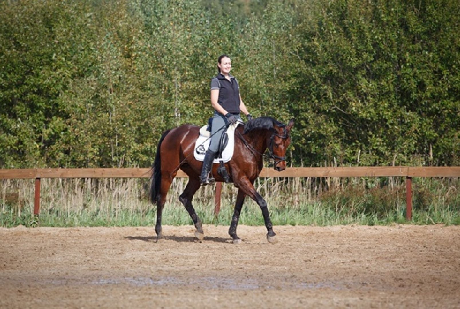Чехов, берейтор, лошади, тренер, конюшня, завод, конный спорт