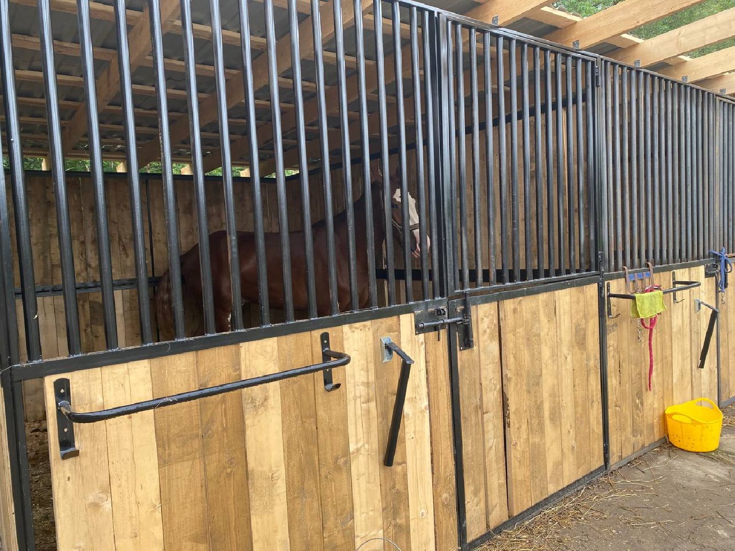 Чехов, берейтор, лошади, тренер, конюшня, завод, конный спорт