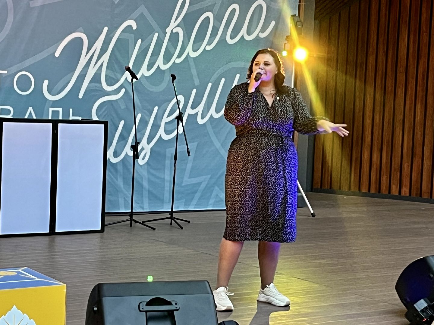 Подольск, Наро-Фоминск, РСМ, юбилей, дружба городов, волонтёры, молодёжь Подмосковья, просто РСМ, фестиваль живого общения, Рената Демидова