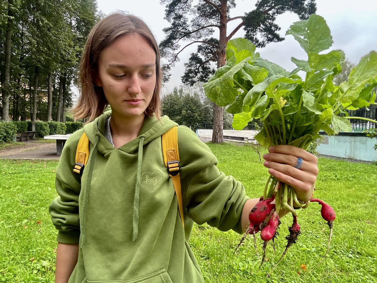 Наро-Фоминск, общественный огород. Центральный парк, урожай, Лето в Подмосковье