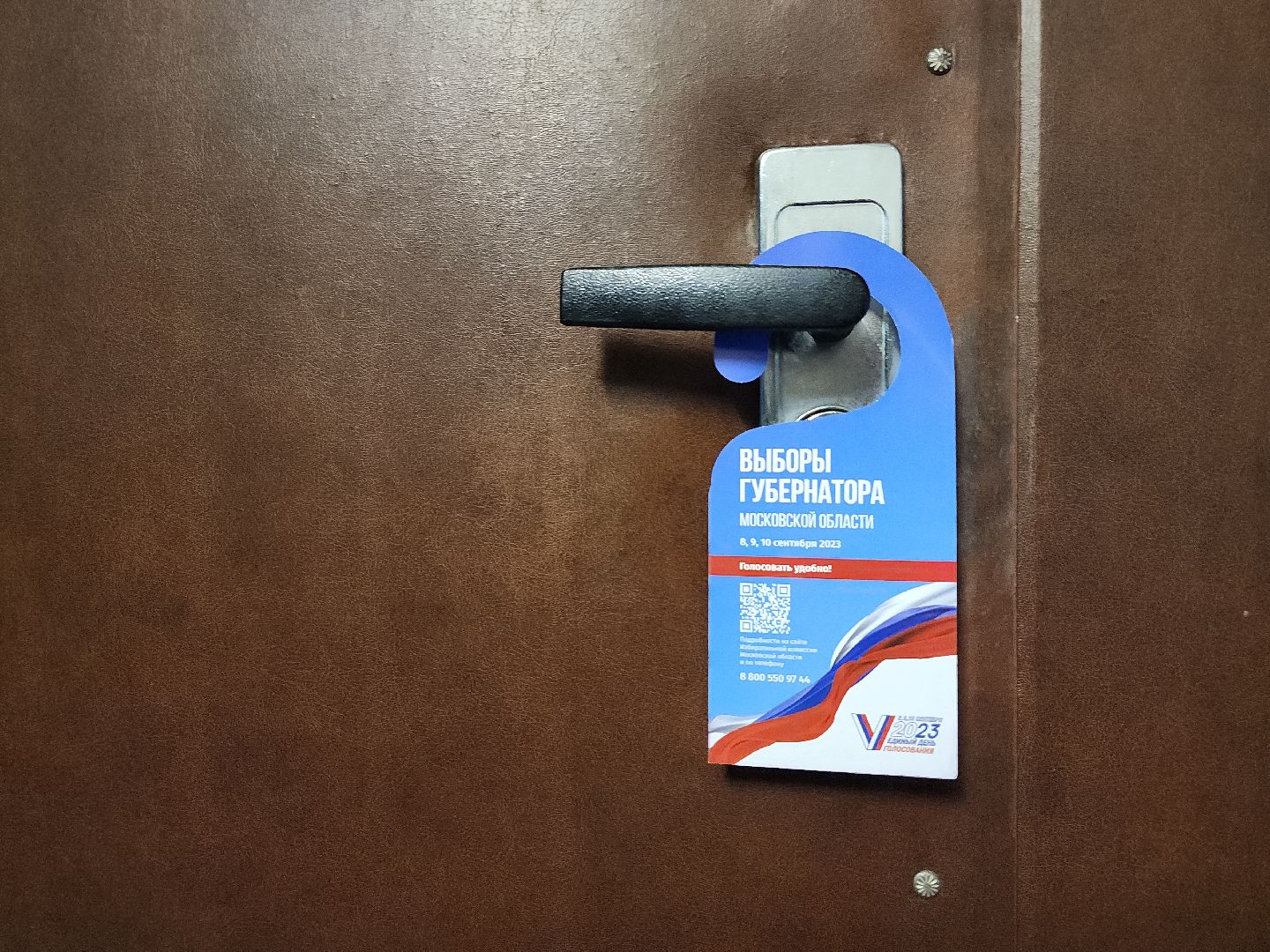 Выборы, губернатор, единый день голосования, Электросталь, городской округ Электросталь