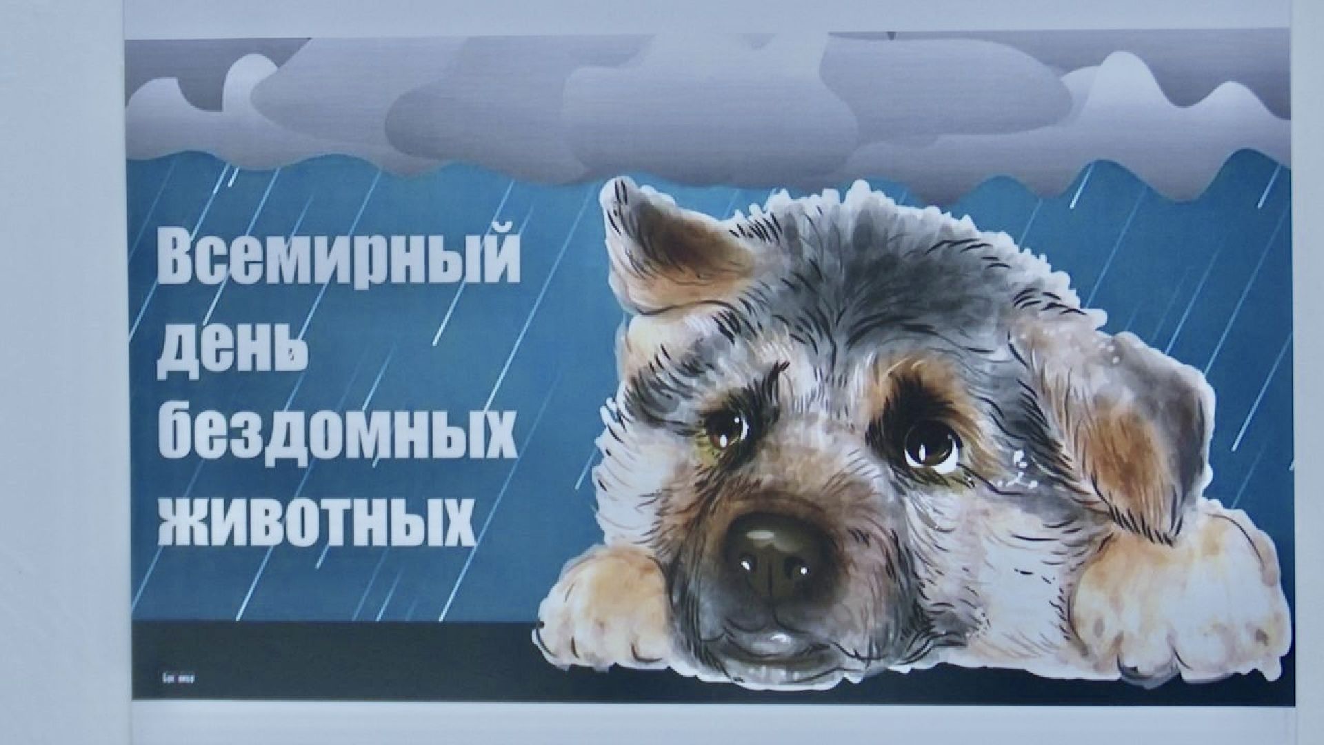 Клин, общество, животные, благотворительность