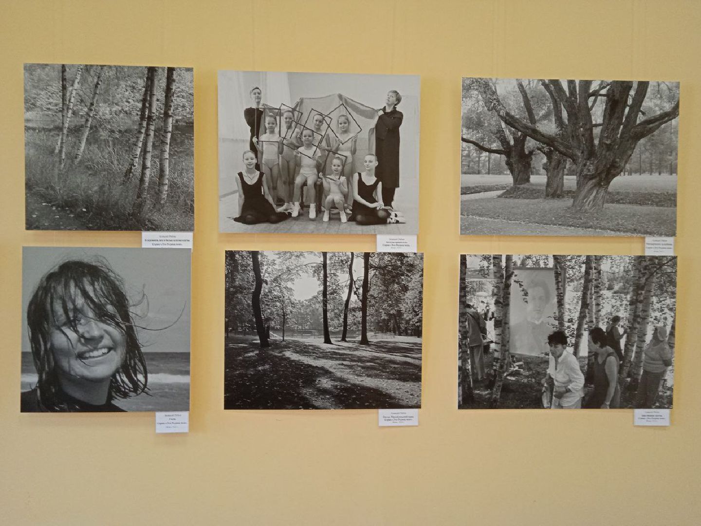 Солнечногорск, выставка, картины, путевой дворец, вернисаж